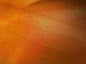 方案避坑指南：新手常犯的10个错误